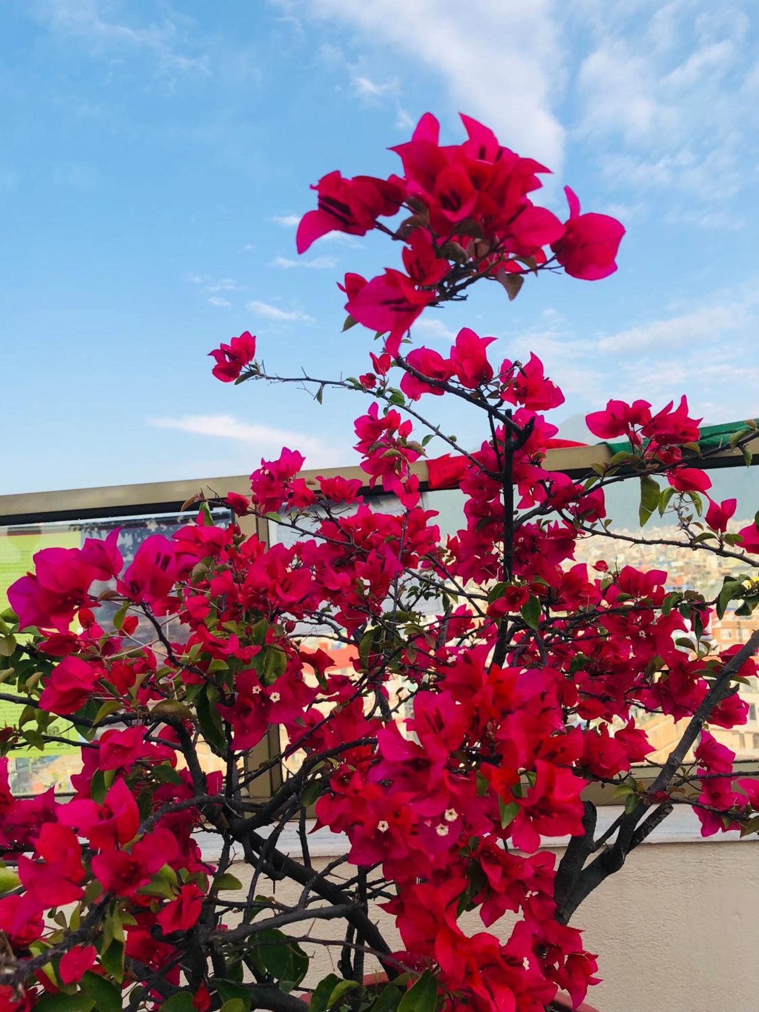 Kathmandu View Hotel מראה חיצוני תמונה
